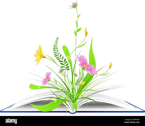 Libro abierto con flores y pasto verde Imagen Vector de stock - Alamy