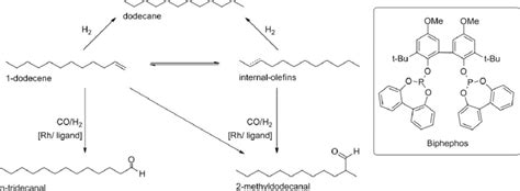 Basic Reaction Scheme Of The Hydroformylation With The Two Main Side