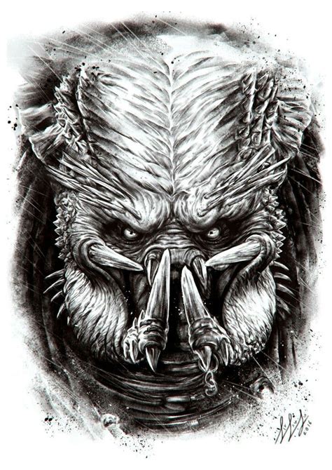 Predator Face Drawing at PaintingValley.com | Explore collection of ...