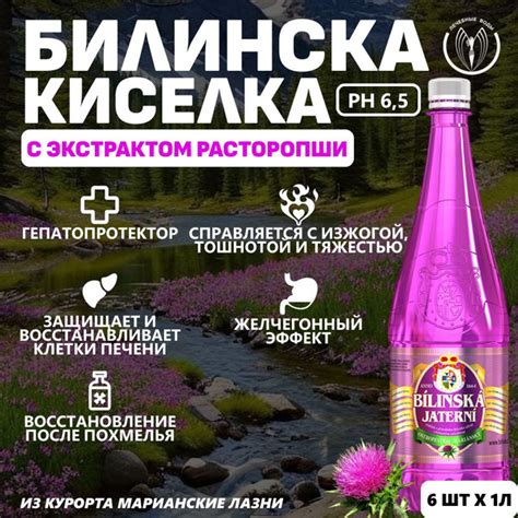 Минеральная вода природной газации Билинска Киселка (Bilinska Kyselka ...