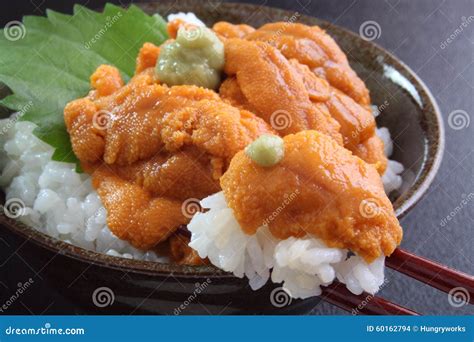 Sea Urchin Roe On Rice Japanese Food Royalty Free Stock Photography