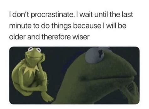 I Don T Procrastinate I Wait Until The Last Minute To Do Things