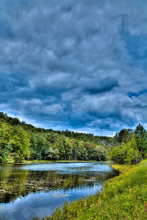 Summer Colors On Bald Mountain Pond Photograph By David Patterson