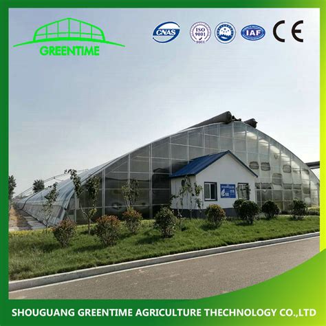 Multi Span Pe Po Film Polycarbonate Pc Sheet Tunnel Agricultural