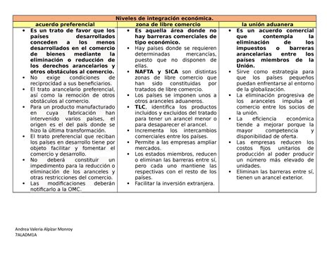 Cuadro Comparativo Nivles De Integracion Y Mapa Mental Tratados