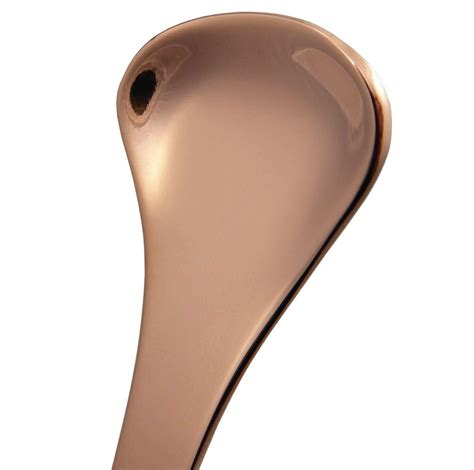 2 Stainless Steel Tongue Scrapers With A Travel Case Dental Aesthetics