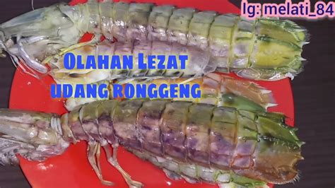 Cara Memasak Olahan Udang Ronggeng Pedas Nikmat Dan Bumbu Nya Meresap