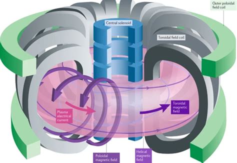 A sketch of Tokamak [2] | Download Scientific Diagram