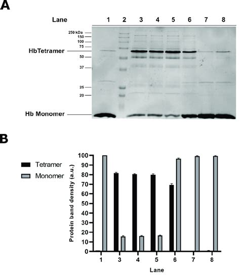 Effect Of Dithiothreitol DTT On Hg Induced Protein Aggregates In