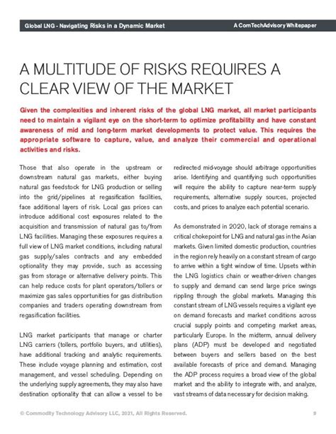 Global LNG Navigating Risks In A Dynamic Market PDF