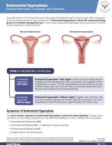 Endometrial Hyperplasia - Information, Evaluation, and Treatment