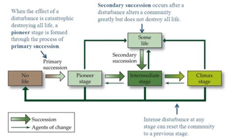 Ecology Chapters 24 25 Flashcards Quizlet