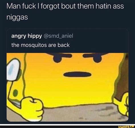Man Fuck I Forgot Bout Them Hatin Ass Niggas Angry Hippy Smd Aniel The Mosquitos Are Back IFunny