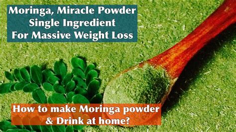 How To Make Moringa Powder And Drink For Weight Loss And PCOS YouTube