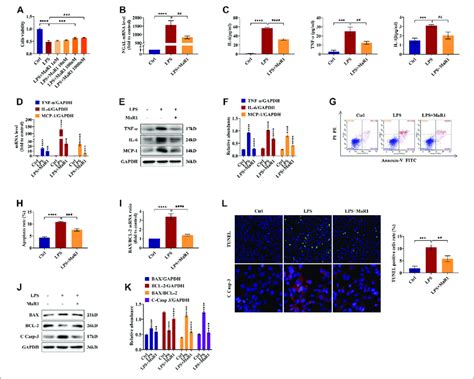 MaR1 Promoted Cell Survival And Prevented The Inflammation And
