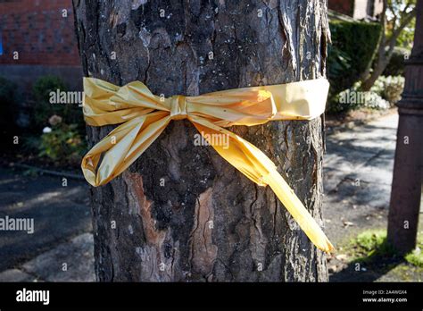 Yellow Ribbon Tied Round A Tree In Port Sunlight England Uk Stock Photo