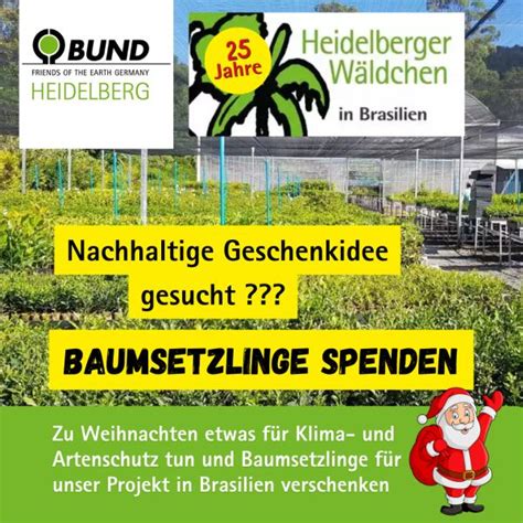 Regenwald Verschenken Zu Weihnachten