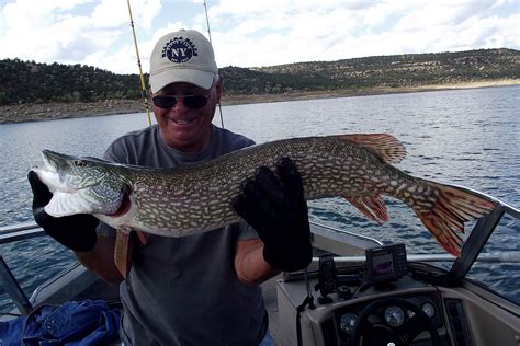 Along The Side Roads: A Fishing Report From Navajo Lake