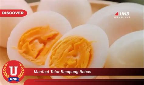 Intip Manfaat Telur Kampung Rebus Yang Jarang Diketahui