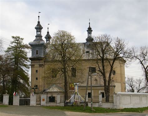 Minoga - Przewodnik - Dioblina