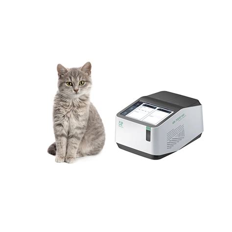 Gn Vet Automatic Veterinary Rapid Nucleic Acid Analyzer For Cat