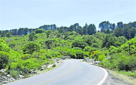 La Sierra de Álvarez y su cautivador paisaje El Sol de Morelia