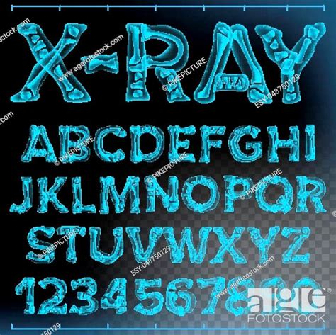 X Ray Font Vector Transparent Roentgen Decorative Alphabet Stock