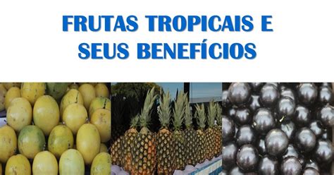 Conhe A Os Benef Cios De Cinco Frutas Nativas Do Brasil