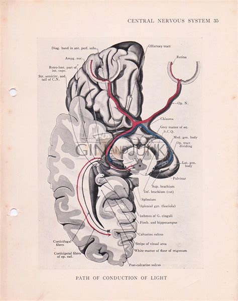 Conduction Drawing at PaintingValley.com | Explore collection of ...