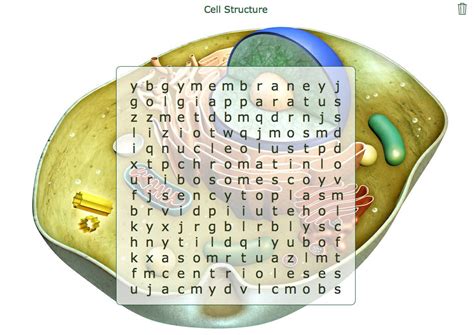 Cell Structure Word Search Biology Lessons Cell Structure Interactive