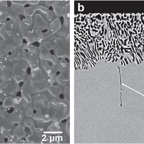 Surface A And Cross Sectional Bse Micrograph B Of The Dealloyed