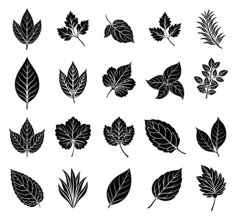 Premium Vector Popular Herb And Shrub Leaf Silhouette Collection