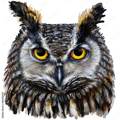 eagle owl digital painting / eagle owl head Stock Illustration | Adobe ...