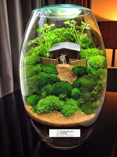 Pin On Glass Terrarium Plants