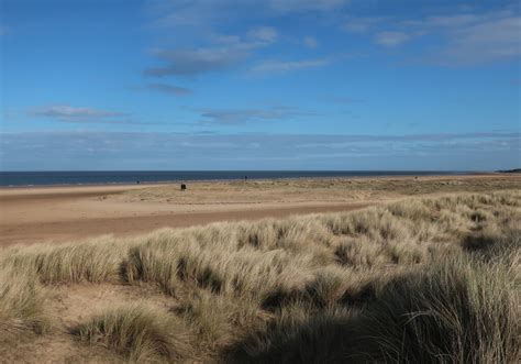 Developing Sand Dunes In Holkham Bay Hugh Venables Geograph