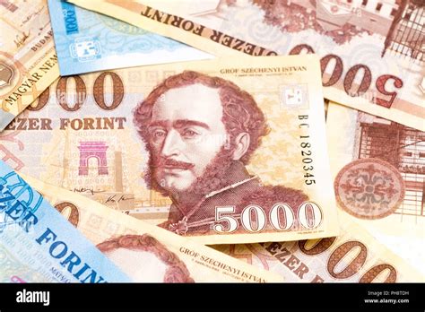 Hungarian Hungary Money Forint Bill 1000 5000 Stock Photo Alamy