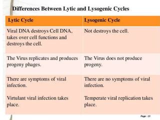 Lytic Lysogenic Cycle PPT