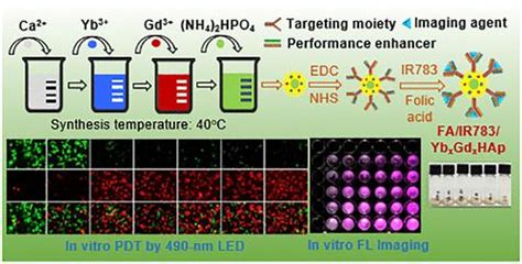 Yb Gd Codoped Hydroxyapatite As A Potential Contrast Agent For Tumor Targeted Biomedical