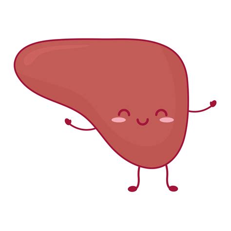 Smiling Liver Isolated 2749552 Vector Art At Vecteezy