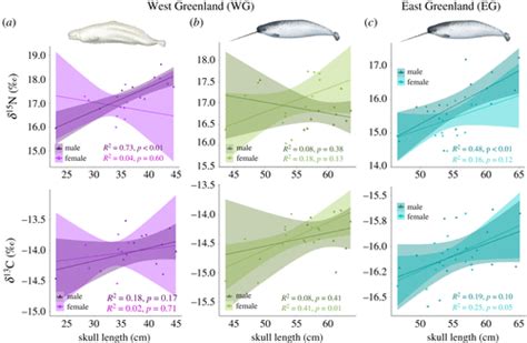 Population Specific Sex And Size Variation In Long Term Foraging