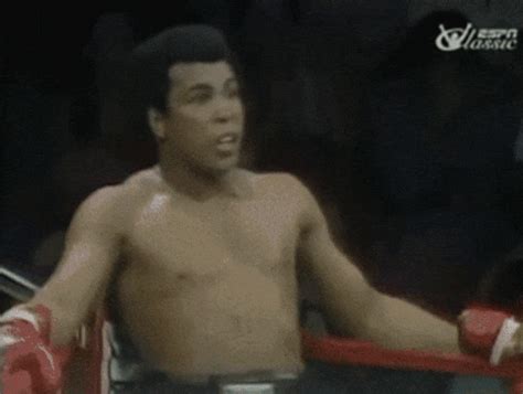 Muhammad Ali Boxing GIF – funny dog gifs