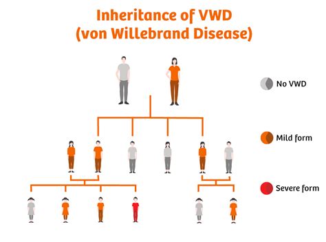 What Is Von Willebrand Disease Siemens Healthineers Siemens Healthineers España