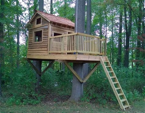 How To Build A Treehouse Artofit