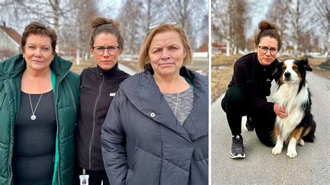 Terapihund förändrade Sofies liv får inte fortsätta P4 Västerbotten