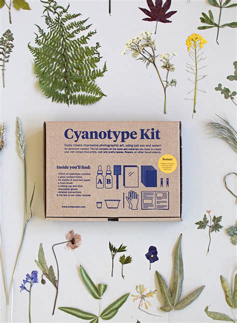 CYANOTYPE Kit I Bausatz für Blaudrucke von Botanopia homage store