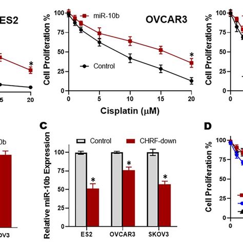 PDF Novel Role Of LncRNA CHRF In Cisplatin Resistance Of Ovarian