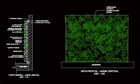 Detalle De Pared Vegetal En Autocad Librer A Cad