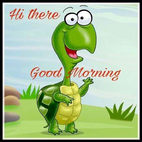 Turtle Good Morning Pictures And S Good Morning Images Good