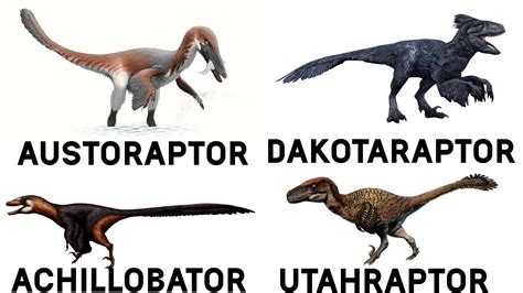 Which Dinosaur Is Your Favorite Rdinosaurs