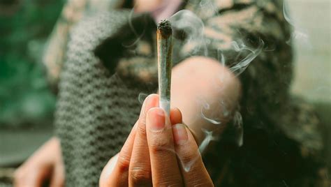 10 Best Activities To Do While Youre Stoned Fast Buds